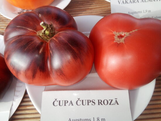 Чупа Чупс Розовый